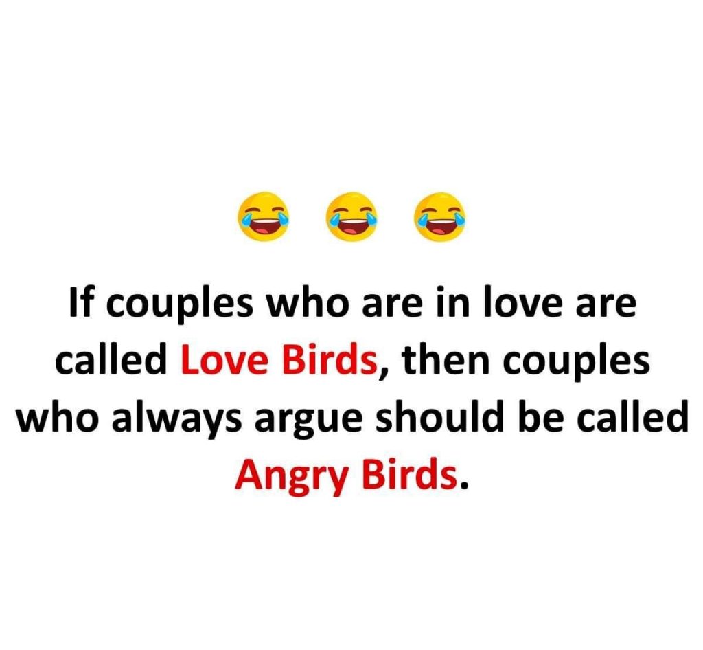If couples who are in love are called Love Birds, then couples who always argue should be called Angry Birds.
