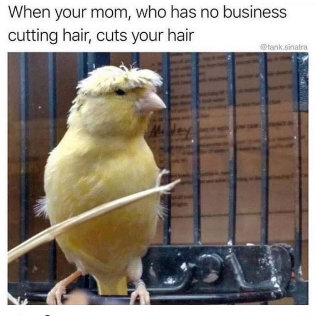 When your mom, who has no business cutting hair, cuts your hair