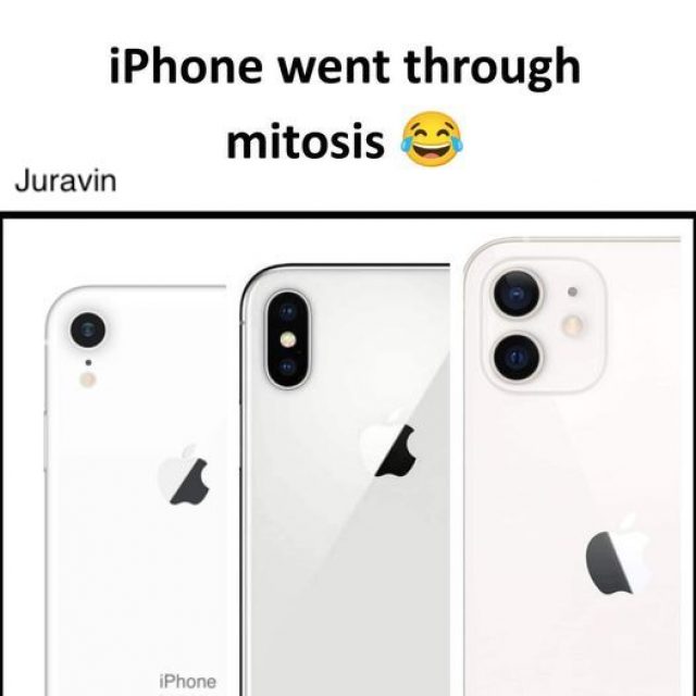 297036708_6160234994305233_8324340811476920118_n