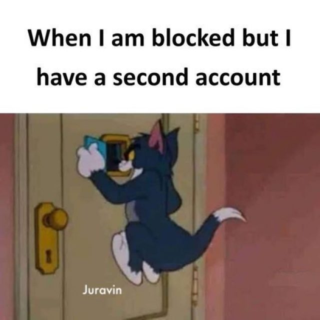 319665648_1471078213376339_3633992177820808985_n