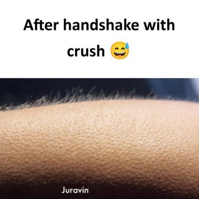 320562888_699912011723257_7303228143107426740_n