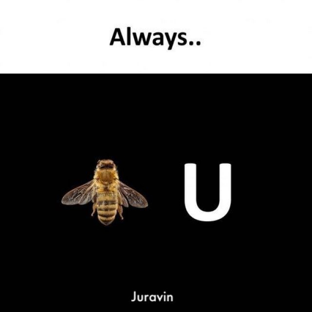 321136127_1162196284457532_8154811817120479114_n