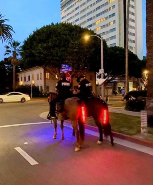 Dallas Police Glowing Horse Tails