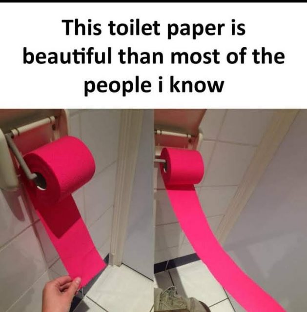 This-toliet-paper-is