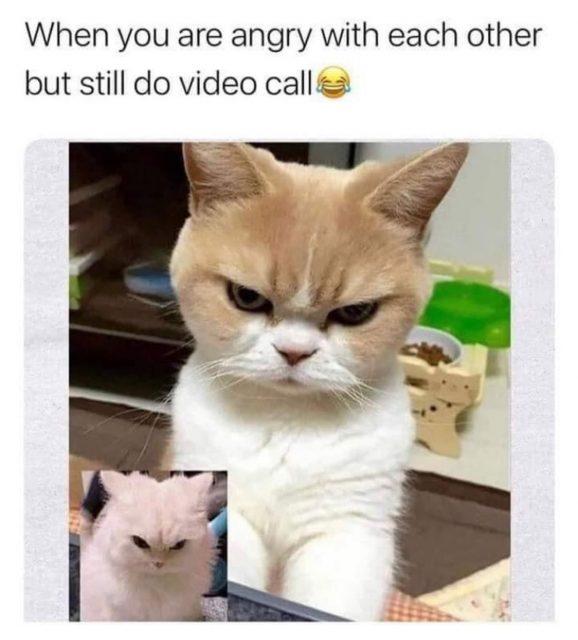 When you are angry with each other but still do video call